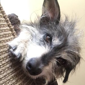 Meet your Posher, Lisa